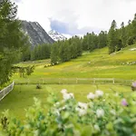 Engadin By Interhome Nyaraló *