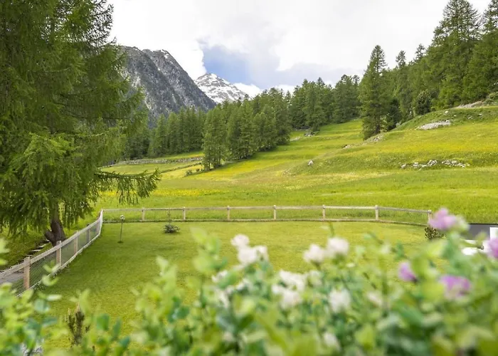 Engadin By Interhome Tatil Evi *